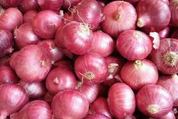 Onion ссылки даркнет